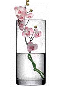 Ваза для цветов Ботаника h=260мм стекло Pasabahce-завод Бор 43846/b 3080812
