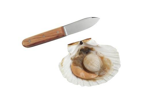 Нож для устриц 110/220 мм ручка дерево Tellier N4170