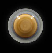 Тарелка для пасты 550 мл 268мм Corone Celeste синий+коричневый HL900650+ZY1978E12  фк0804 Тарелка для пасты 550 мл 268мм Corone Celeste синий+коричневый HL900650+ZY1978E12  фк0804