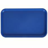 Поднос прямоугольный 53х33см синий [2775-1]