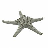 Блюдо "Звезда" 24 см,керамика "Frutti di Mare" P.L. QB23176002 Блюдо "Звезда" 24 см,керамика "Frutti di Mare" P.L. QB23176002