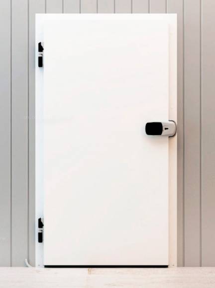 Дверь распашная одностворч. РДО(КС)-900.2100-120/Н-Лев для морозильной камеры