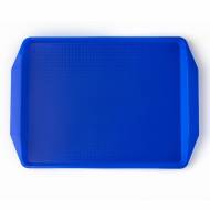 Поднос прямоугольный 42х30см голубой поверхность классик (123) MGprof 1732