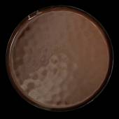 Тарелка мелкая 290мм Corone Carmen красная фк1801