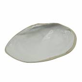 Блюдо 33*20*5.5 см,керамика "Frutti di Mare" P.L. QB23087001 Блюдо 33*20*5.5 см,керамика "Frutti di Mare" P.L. QB23087001