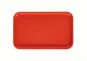 Поднос прямоугольный 53х33см оранжевый (166) 1737 28409 мки119 /10/ Поднос прямоугольный 53х33см оранжевый (166) 1737 28409 мки119 /10/