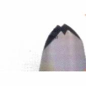 Насадка кондитерская 2мм Martellato BX 1132 Насадка кондитерская 2мм Martellato BX 1132