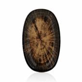 Блюдо овальное 290мм фарфор Kolezyum By Bone TN-KL-ZT-29-OV /1/ Блюдо овальное 290мм фарфор Kolezyum By Bone TN-KL-ZT-29-OV /1/