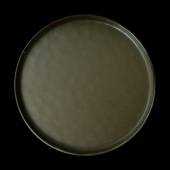 Тарелка мелкая 285мм, серо-зеленый Corone Sacramento HS169597 фк9101