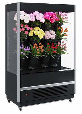Стеллаж холодильный Полюс FC20-08 VM 1,0-2 FLORA  цветочный динамика