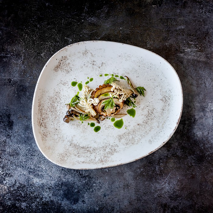 Фарфор Bonna линия Nacrous